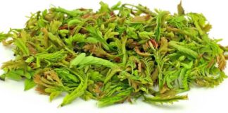 tamarind leaves