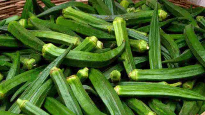 Ladyfinger Benefits