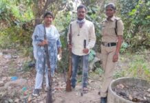 Guns Seized in Singitham Village