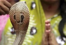 Man loses tongue to snake bite