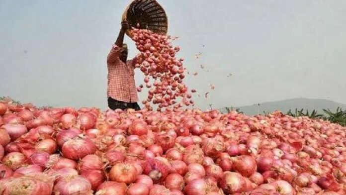 Onion Price