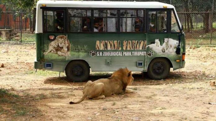 Tirupati Zoo Park