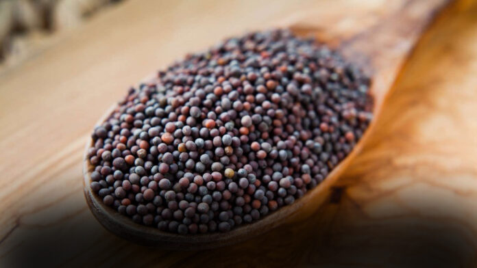 Mustard Seeds