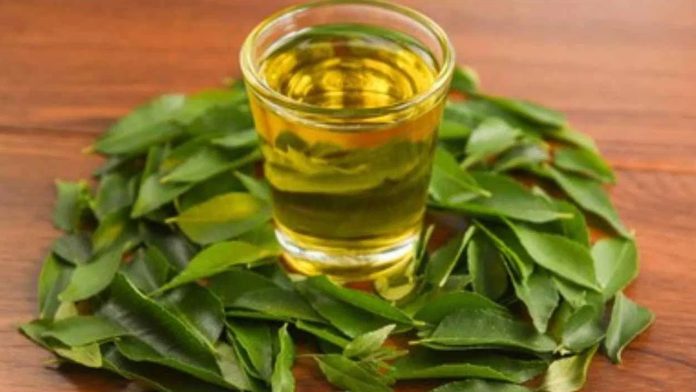 Curry Leaves Tea