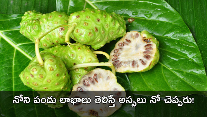 Noni Fruit