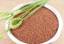 Finger Millet