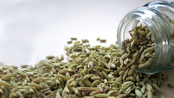 Fennel Seeds