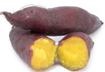 Sweet Potato