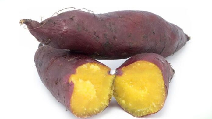 Sweet Potato